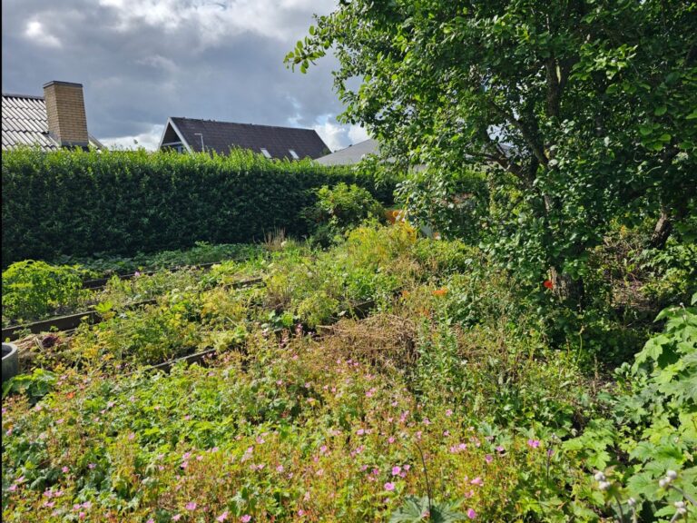 Vild med vilje have - natur uden at haven mister form